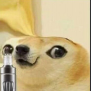 MR.pieseł