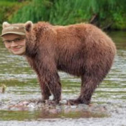 nokesnorth