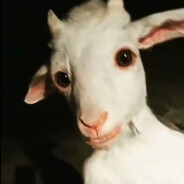 zxcаша