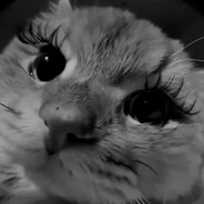 ♥ Призрак ⸸