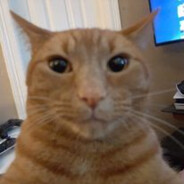 smuti