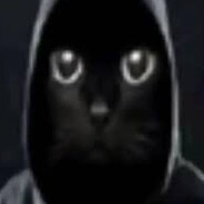 анонимный кот