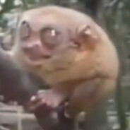 Hi, cute
