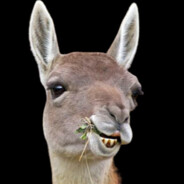 DREEFT