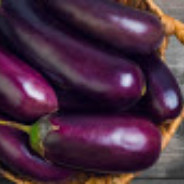 Eggplant