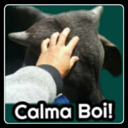 Calma Boi
