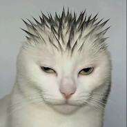 c4rpye
