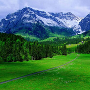 Ben adını unuttum