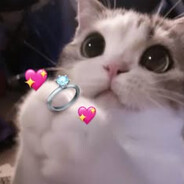 Møckyy