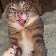 卂几ㄒㄖ