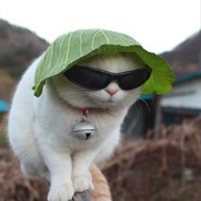 ЗИНКА С ТОГО ЭТАЖ