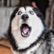 SillyLuca