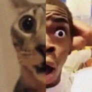 absosut