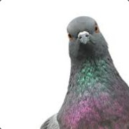 RALOT.gg