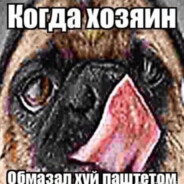 mrkapibarys