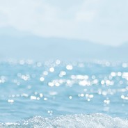 哈利波霸