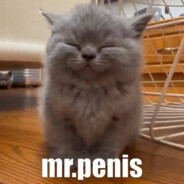 mr.penis