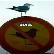 Gerito xd