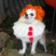 Pattywise