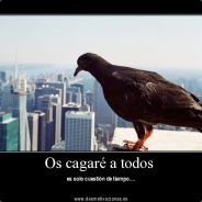 *-||Ch@RraZo||-*