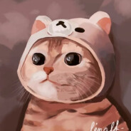 Mr.Panda