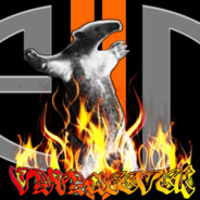 VatanseveR