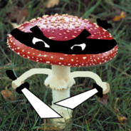 Ninjafungus