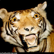 TIGAR