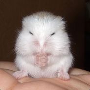 Steam profile picture for @agreed