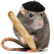 FrenchRat