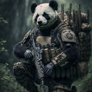 Madpanda
