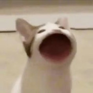 abuczi