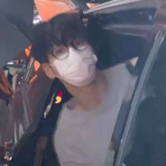杯壁小狗