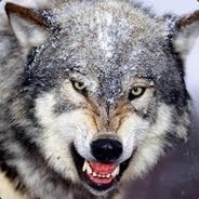 troyano999