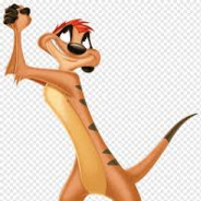 timon