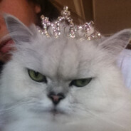 Queen01