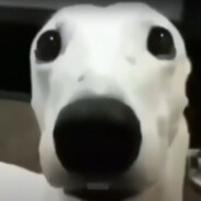 mati
