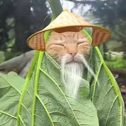 Sensei Wu