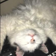 Schnozzy