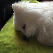 Lucy