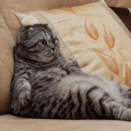 WellTheCat