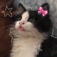 ᴍᴀᴛʏ