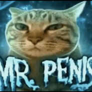 Mr. Penis
