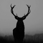 HUNOR_