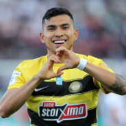 PINEDA
