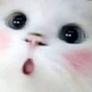 Vic