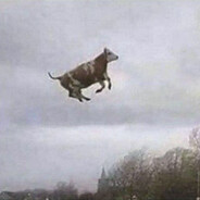 Vandrare