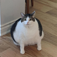 Ding dong pling plong