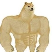 Conde Nado