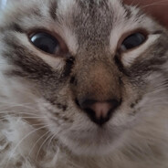 ФЕДЯ